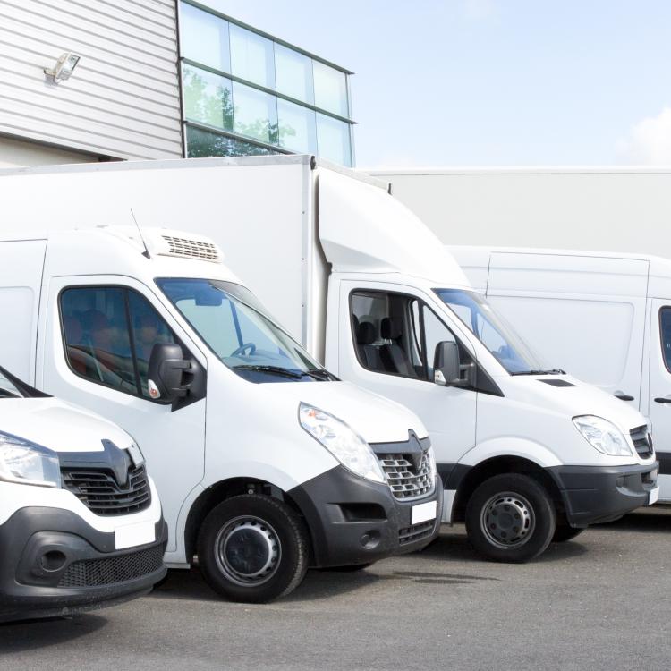 Same Day Document Courier Service